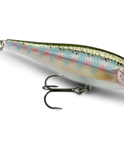 Rapala BX Minnow 10cm - Crankbaits & plugs