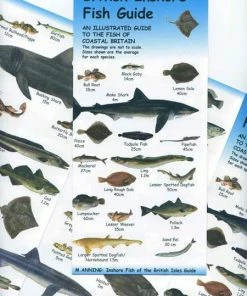 Nigel Clarke Publications British Inshore Fish Guide Chart - Books & prints
