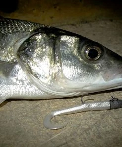 Savage Mini Sandeel Kit - Lrf - light rock fishing