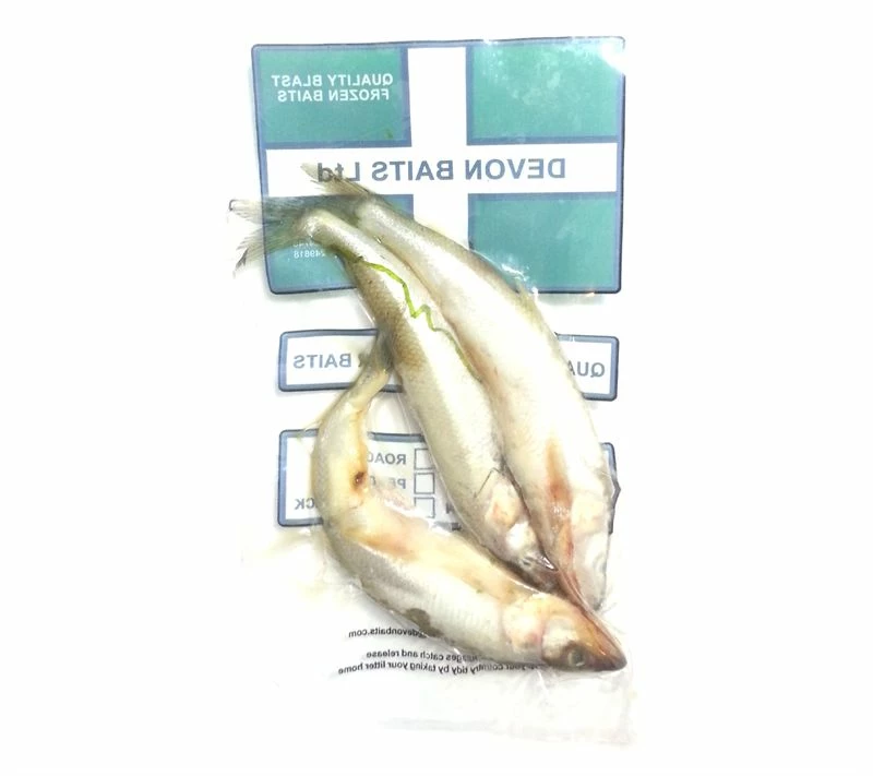 Devon Baits Frozen Smelt - Frozen sea baits 2 Devon Baits Frozen Smelt - Frozen sea baits - Image 2