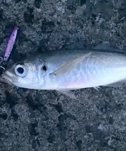 HTO Shore Jigs - Metal lures & pirks -Sea Fishing Outlet Store 1407161337 10