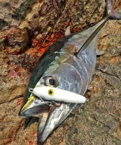 Samson Lures Enticer Sub Surface Tweak Bait 30g - Crankbaits & plugs