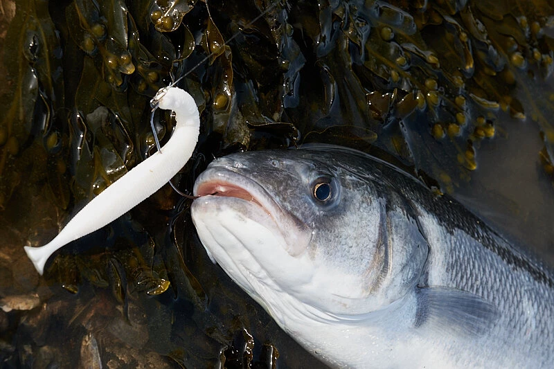 Savage Gravity Stick Pulsetails - Sandeels 3 Savage Gravity Stick Pulsetails - Sandeels - Image 3