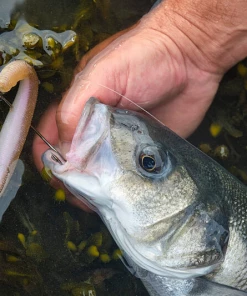 Savage Gravity Stick Kit - Sandeels -Sea Fishing Outlet Store eq5w3cv4637370660572178427