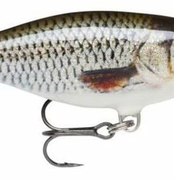 Rapala Shad Rap Lures 7cm - Crankbaits & plugs 7 Rapala Shad Rap Lures 7cm - Crankbaits & plugs -Sea Fishing Outlet Store freyhnix635878663710017774