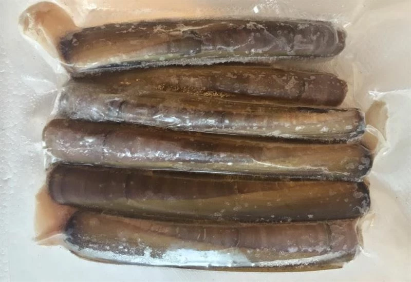 Devon Baits Frozen Razor Fish - Frozen sea baits 2 Devon Baits Frozen Razor Fish - Frozen sea baits - Image 2