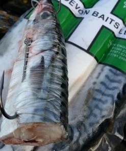 Devon Baits Frozen Joey Mackerel - Frozen sea baits -Sea Fishing Outlet Store pdybofe3637780082674789849