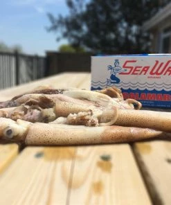 Sea Wave Frozen Squid - Frozen sea baits